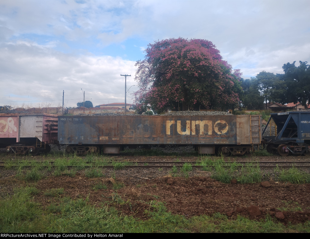 RUMO HNS-045778-7
